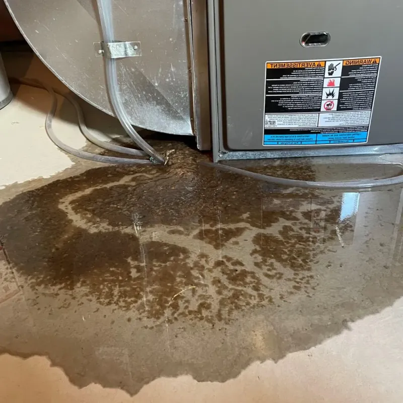 Pipe Burst and Leak Restoration in San Antonio, TX